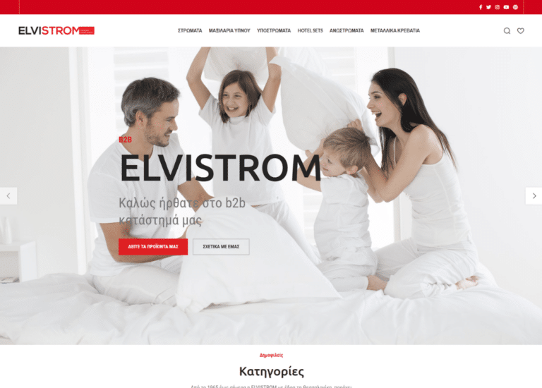 elvistrom-b2b